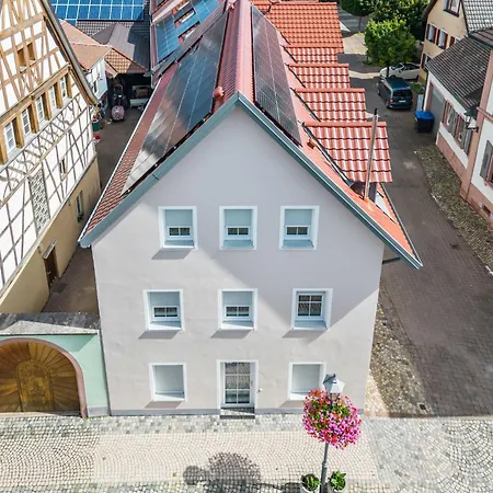 Laura - S7 By Interhome Endingen am Kaiserstuhl